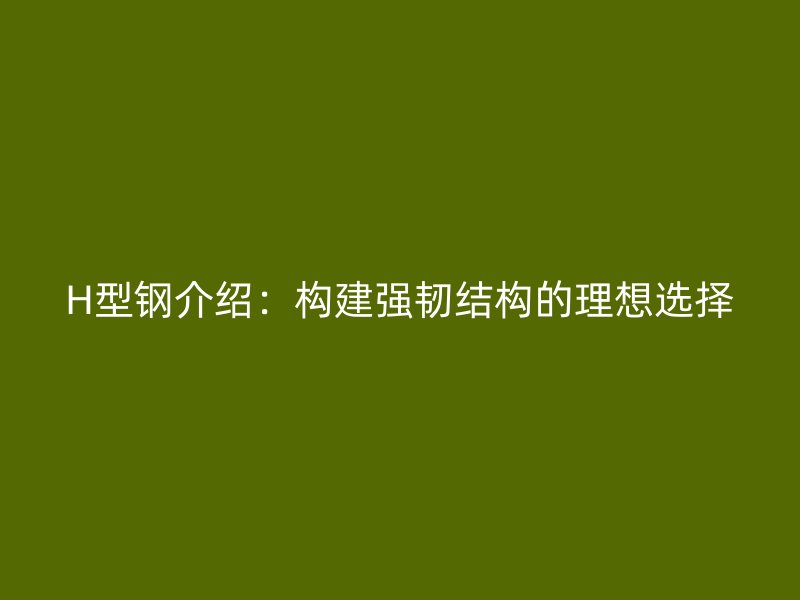 H型鋼介紹：構(gòu)建強韌結(jié)構(gòu)的理想選擇